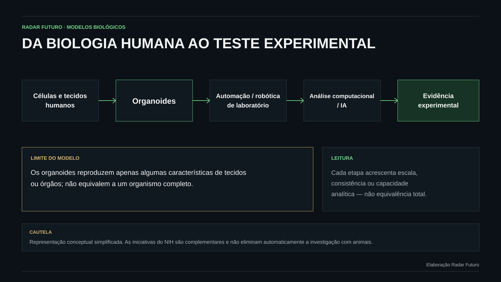 Diagrama científico do fluxo entre células e tecidos humanos, organoides, automação e robótica de laboratório, análise computacional e inteligência artificial, até à evidência experimental, incluindo os limites dos organoides.