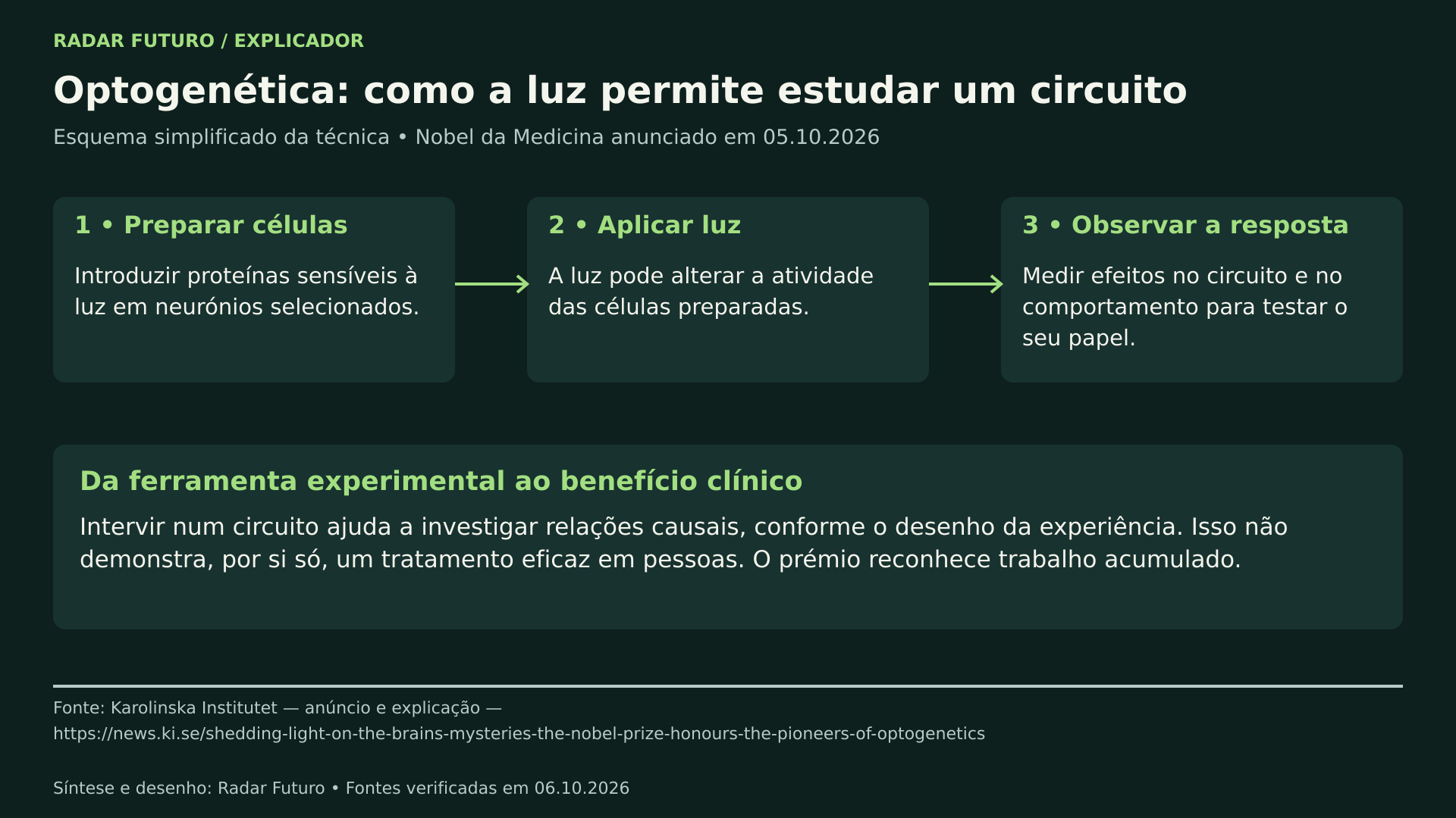 Diagrama explicador sobre optogenética: três passos — preparar células com proteínas sensíveis à luz em neurónios selecionados, aplicar luz para alterar a atividade das células preparadas e observar a resposta do circuito e do comportamento — e uma nota de que intervir num circuito ajuda a investigar relações causais sem demonstrar, por si só, um tratamento eficaz em pessoas.