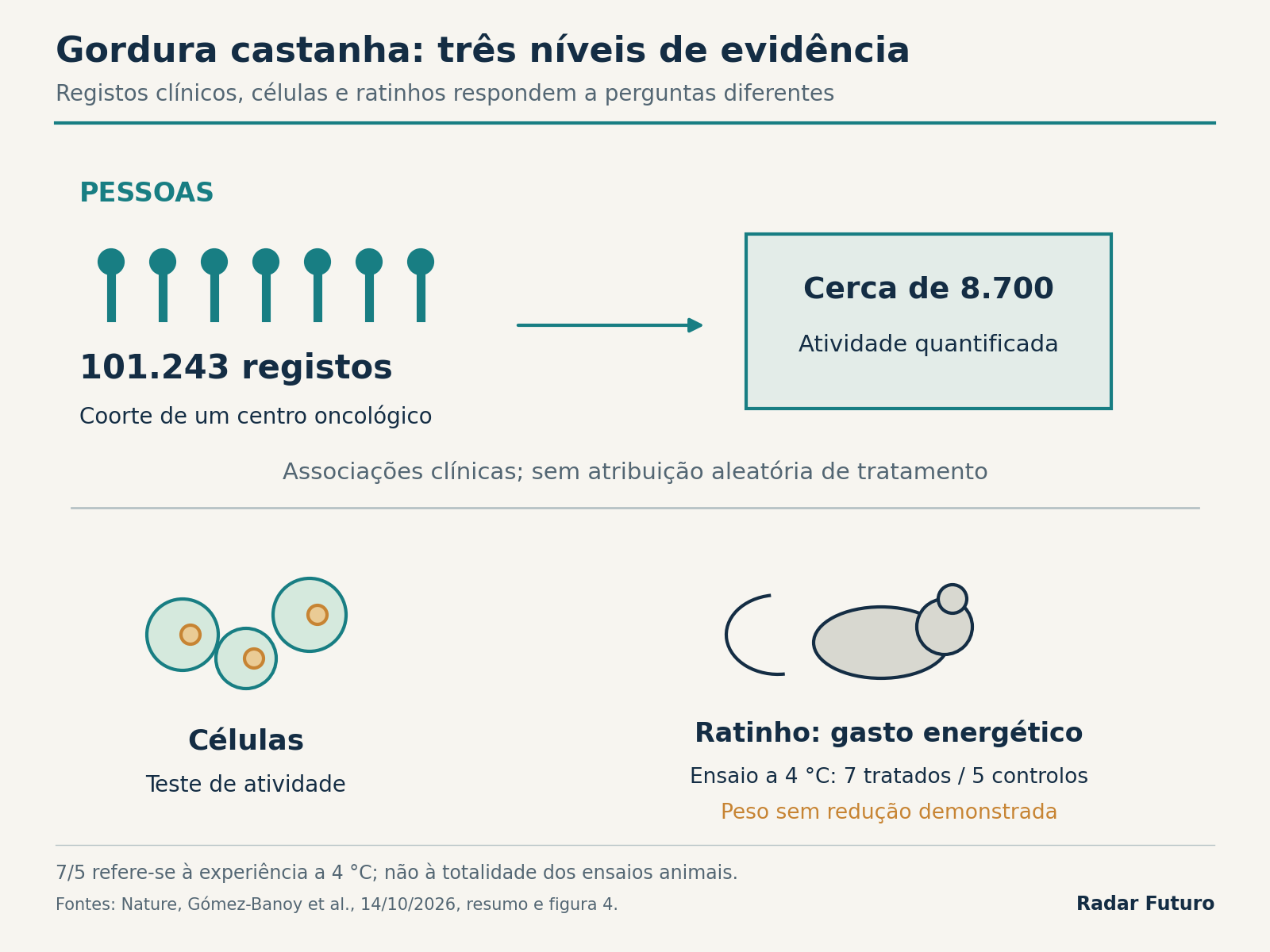 Mapa da evidência sobre gordura castanha: 101.243 registos clínicos, atividade quantificada em cerca de 8.700 pessoas, testes celulares e ensaio em ratinhos a 4 °C com sete tratados e cinco controlos; sem redução de peso demonstrada.