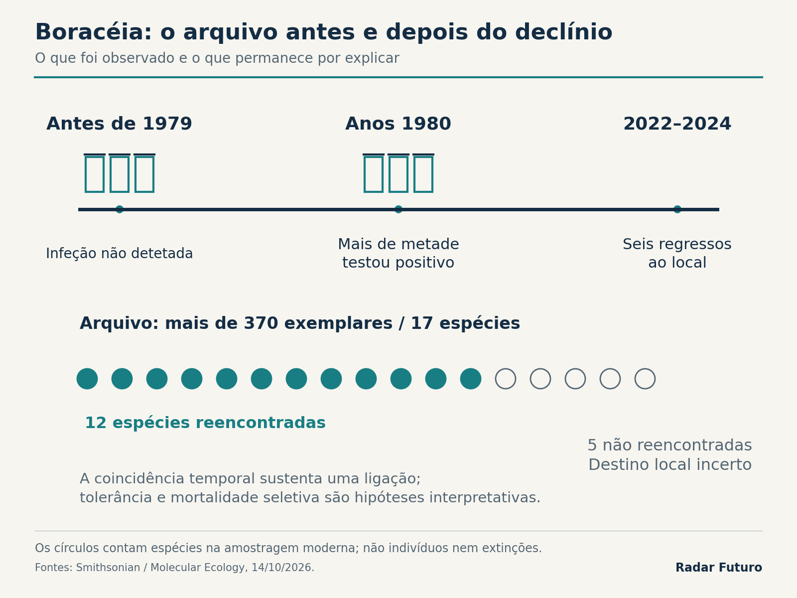 Cronologia da investigação em Boracéia: infeção não detetada antes de 1979, mais de metade das amostras dos anos 1980 positivas e seis regressos entre 2022 e 2024; 12 de 17 espécies reencontradas.