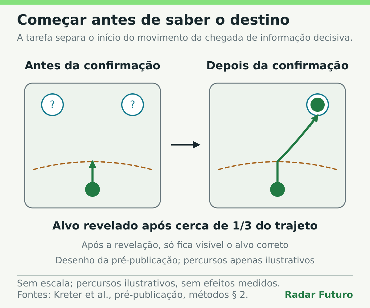 Esquema da tarefa mostra um movimento iniciado com dois alvos possíveis e a confirmação do alvo após cerca de um terço do trajeto. Os percursos são ilustrativos e vêm do desenho da pré-publicação, sem representar efeitos médios dos grupos.