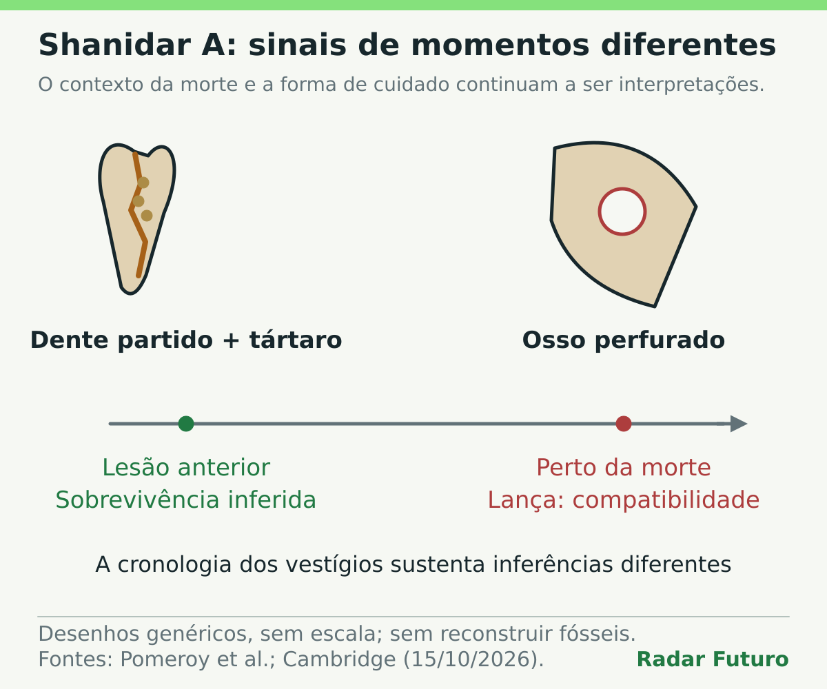 Cronologia liga um dente partido com tártaro a uma lesão anterior com sobrevivência inferida e um osso perfurado a trauma perto da morte compatível com lança. Os desenhos são genéricos e não reconstituem os fósseis.