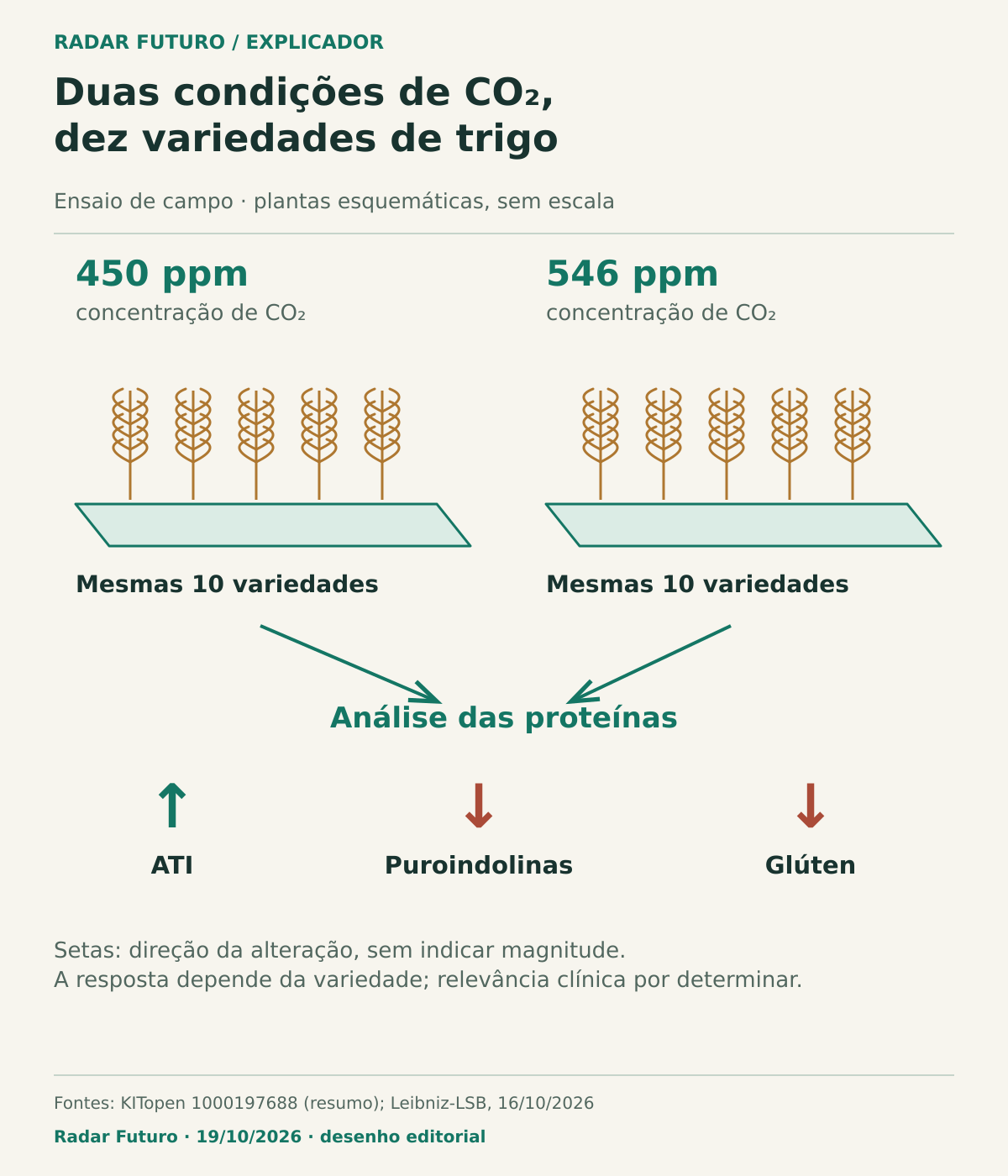 Duas parcelas esquemáticas com dez variedades comparadas a 450 e 546 ppm de CO₂. As setas de resultado indicam ATI em subida e puroindolinas e glúten em descida, sem representar magnitudes.