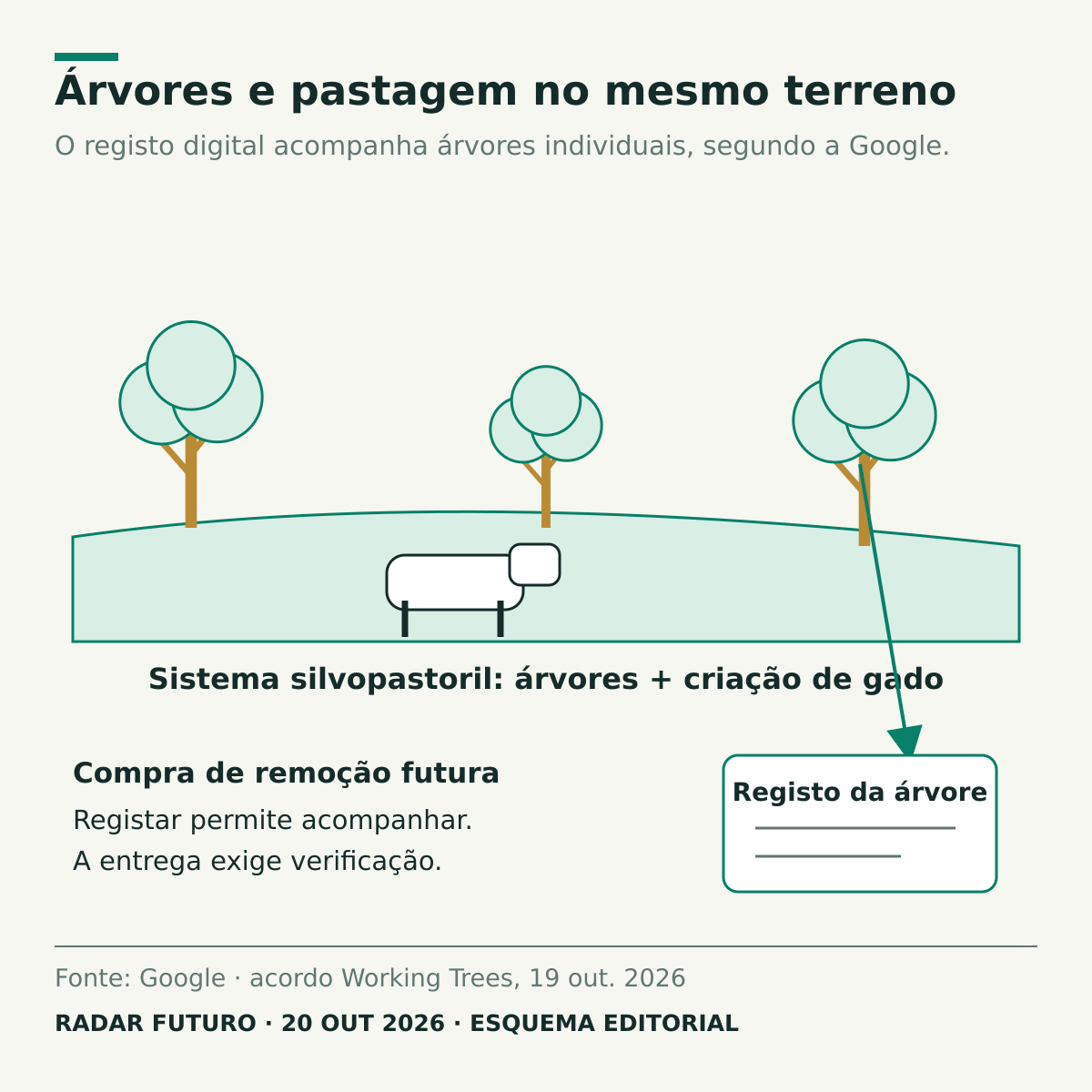 Árvores e um bovino partilham a mesma pastagem num desenho de sistema silvopastoril. Uma árvore liga-se a um registo digital individual; o esquema distingue acompanhamento e verificação de entregas futuras.