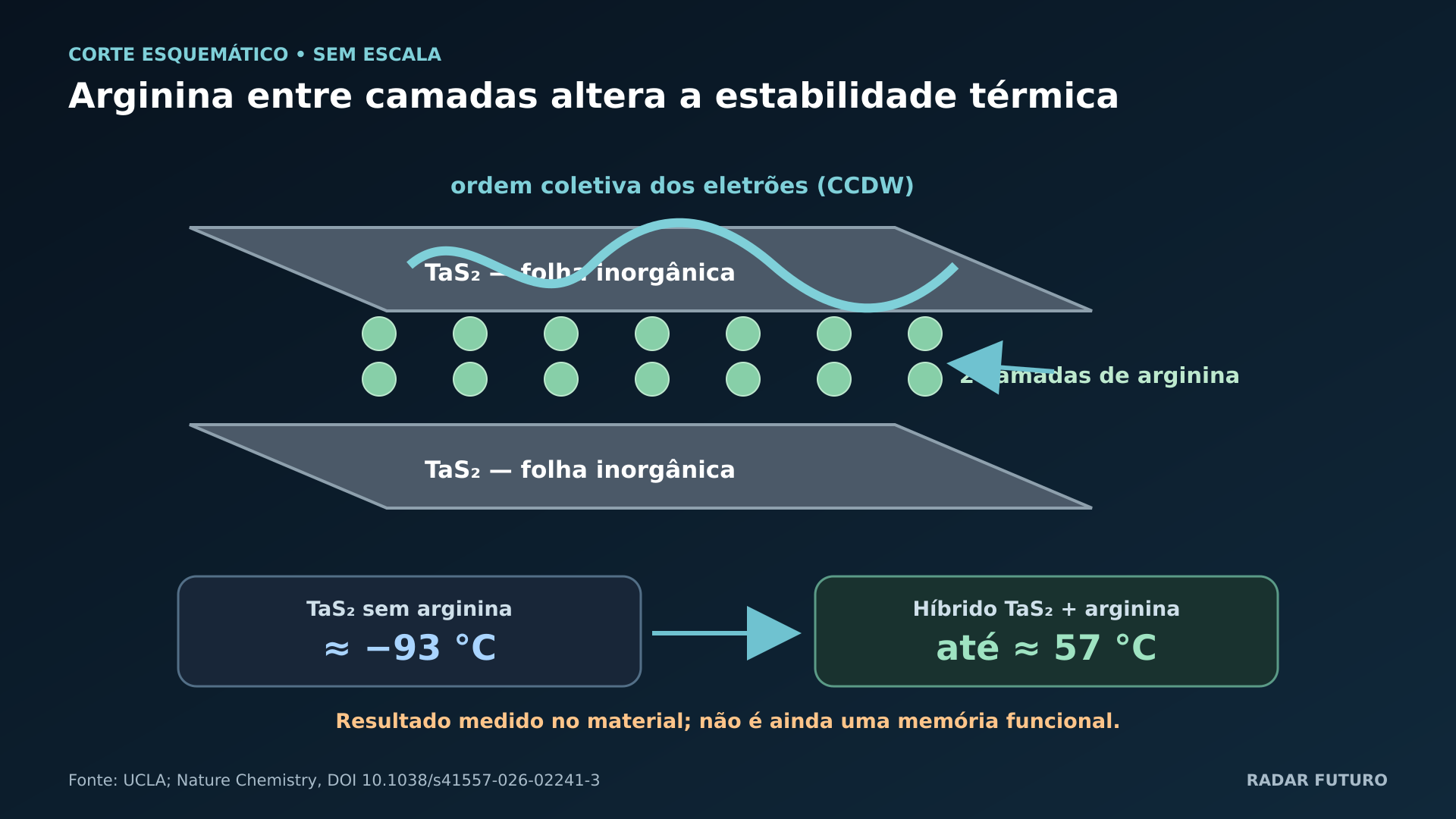 Corte esquemático em camadas com escala térmica: Como a arginina altera a pilha e a estabilidade térmica do estado eletrónico?
