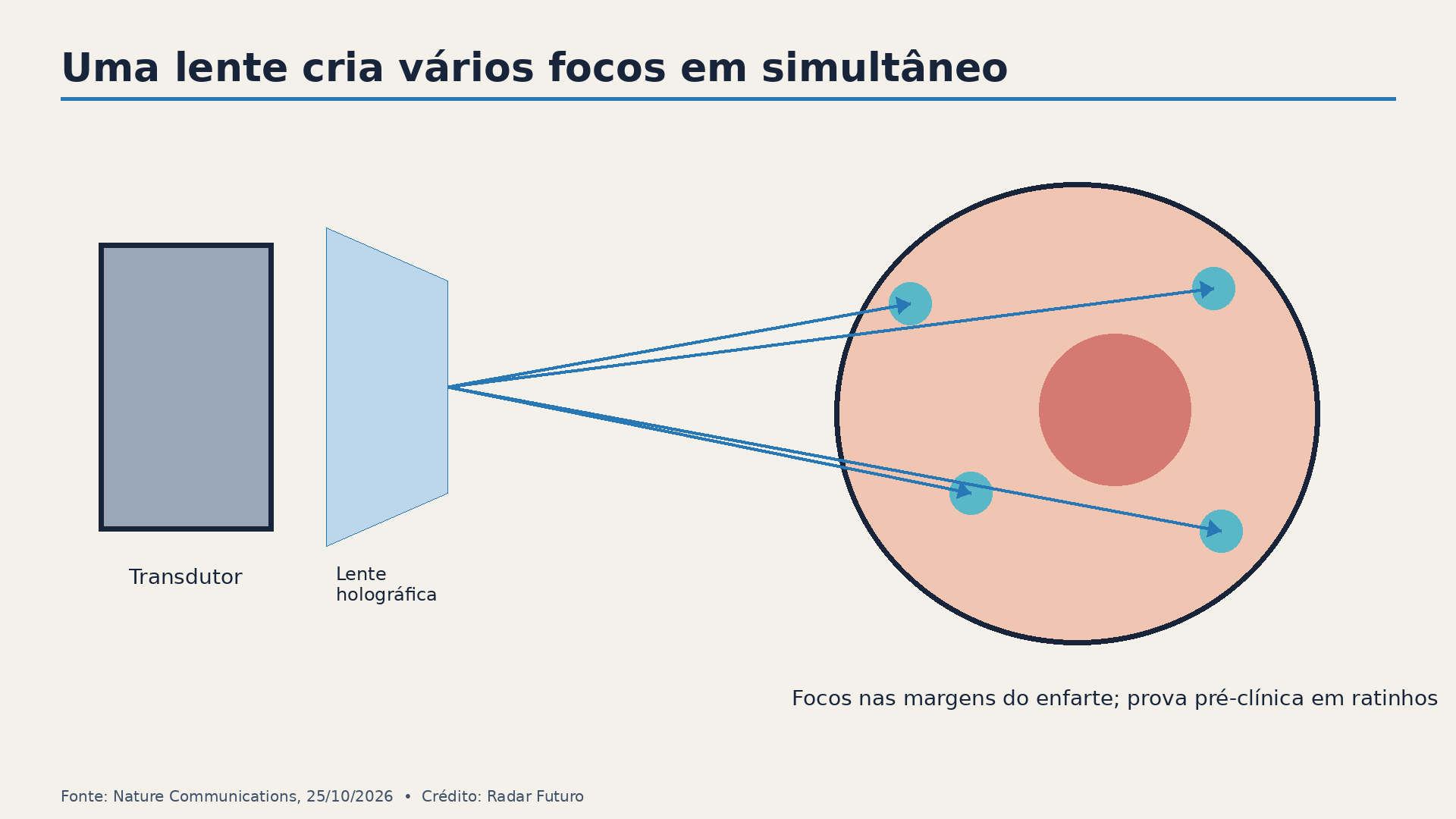 Uma lente holográfica distribui o campo acústico por vários alvos; esquema de investigação pré-clínica em ratinhos.